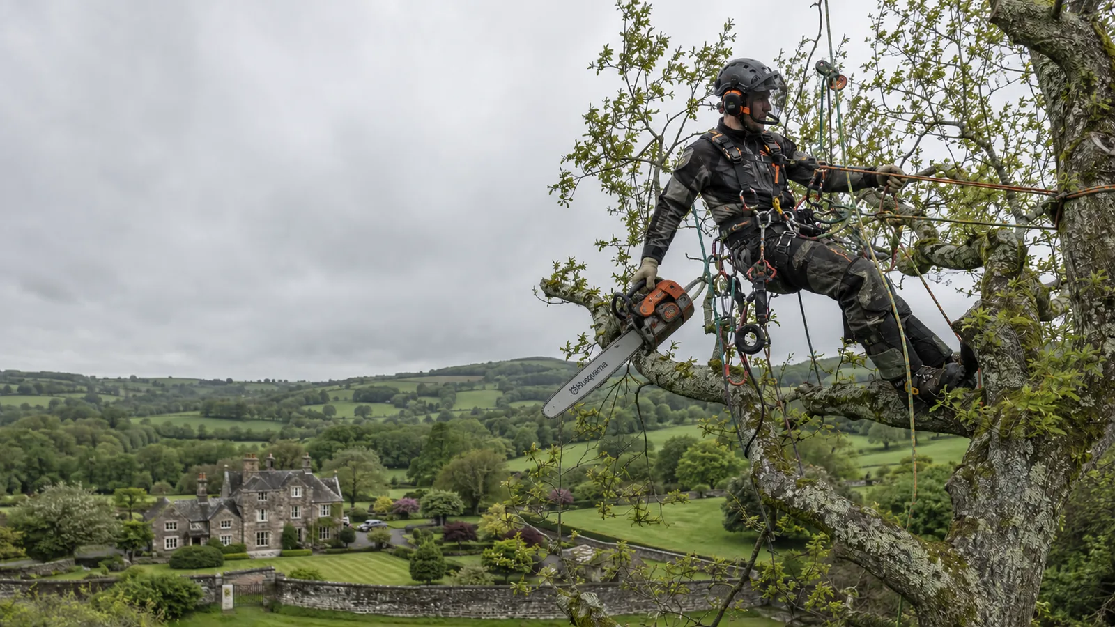 How to Get Tree Surgeon Leads: 7 Methods (2026)